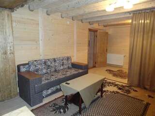 Гостевой дом Cottage Lisovychok Ворохта Номер-студио-9