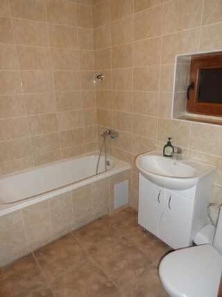 Гостевой дом Cottage Lisovychok Ворохта Номер-студио-11