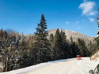 Гостевой дом Cottage Lisovychok Ворохта-6